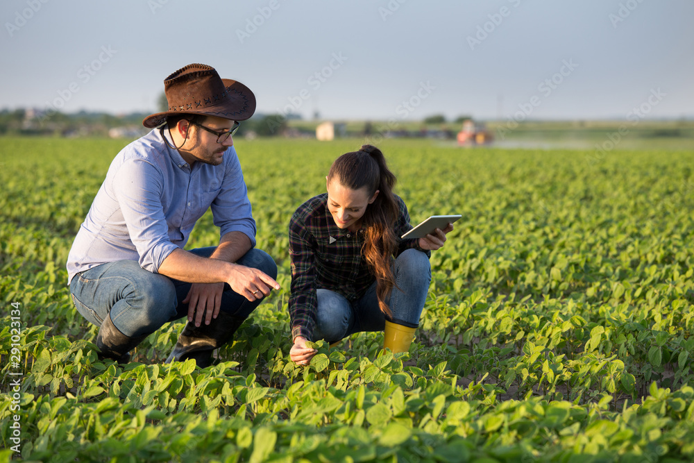 Woman with tablet inspecting field